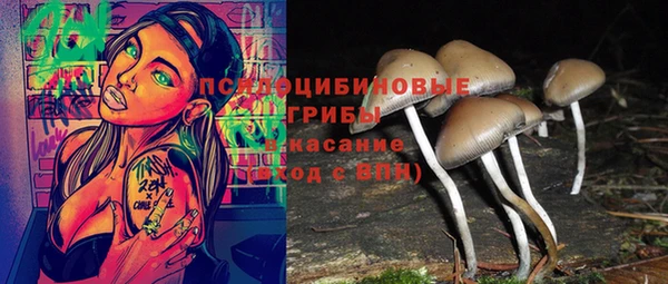 прущая мука Нязепетровск