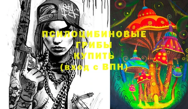 ешки Няндома