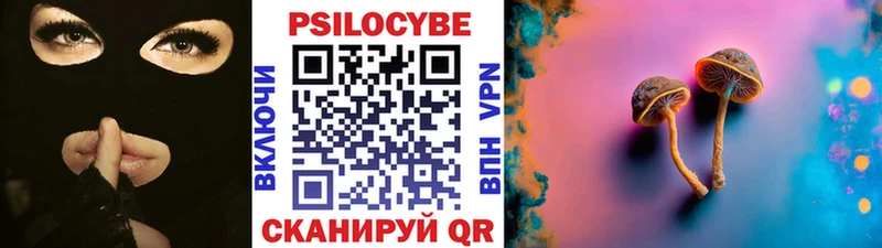 Галлюциногенные грибы Psilocybe  hydra ссылки  Судогда 